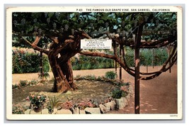Giant Grape Vine San Gabriel Archangel Mission CA California WB Postcard Z2 - £1.56 GBP