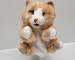 Folkmanis Orange Tabby Kitten Kitty Cat Plush Full Body Hand Puppet 8&quot; R... - $14.75