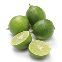 Dwarf Thornless Mexican Key Lime Tree, 26-30&quot; Tall Live Citrus Plant - HDY2 - £113.04 GBP