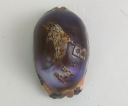 Hand Carved Dolphin M B Cowrie Sea Shell 1.5&quot; x 2.75&quot; - $7.75