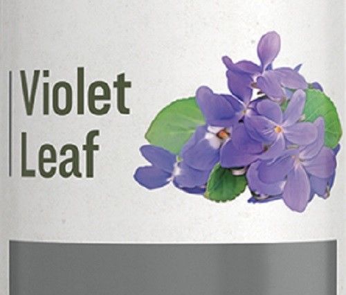 VIOLET LEAF - Lymph Bowel Liver & Respiratory Support Tonic Tincture USA - $24.97