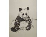 Charlotte Young Panda Bear Sketch 10.5&quot; X 13.5&quot; With Certificate Of Auth... - $59.39