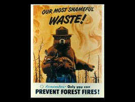 Smokey Bear Poster | 24 X 36 Inch | Only You Can - £15.97 GBP