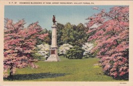 New Jersey Monument Valley Forge Pennsylvania PA Dogwood Blossoms Postcard B02 - £2.41 GBP