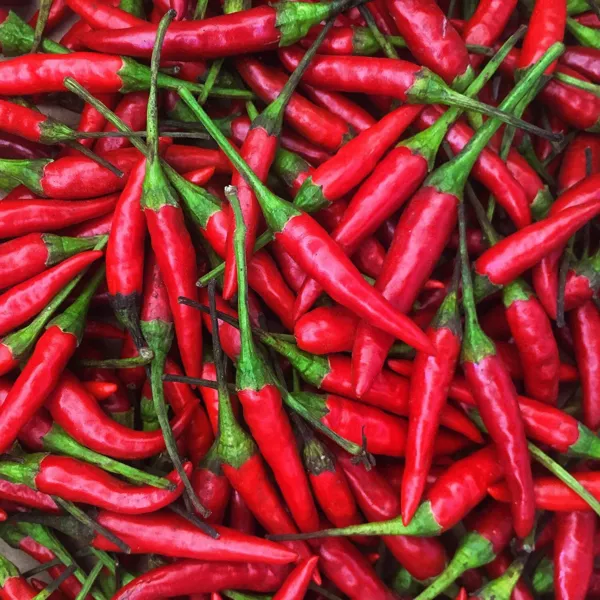 Thai Hot Pepper Seeds Non Gmo Seed Garden Fresh New - £6.32 GBP