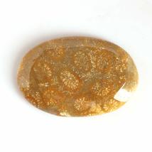 40.51 Carats TCW 100% Natural Beautiful Fossil Coral Oval cabochon Gem by DVG - £17.95 GBP