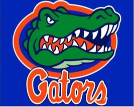 Florida Gators NCAA 12x8in Metal Sign College Wall Decor - €21,34 EUR