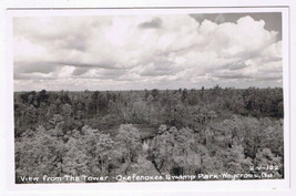 Postcard RPPC Waycross Georgia Okefenokee Swamp Park View From The Tower - £4.47 GBP