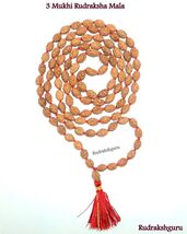 3 Mukhi Rudraksha Mala / Agni Siddha Surya Siddha Mala - Java - 109 beads - $86.09