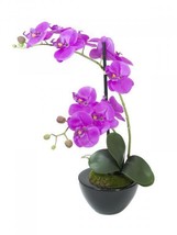 EUROPALMS Orchideen-Arrangement 4, Artificial - £39.44 GBP