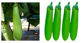 300 Seeds/Bag Elevate Your Garden with Emerald Long Eggplant Seeds - £15.02 GBP