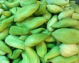 Cyclanthera Pedata Stuffing Cucumber 5 seeds Fresh Gardening - $17.96