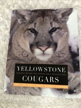 Yellowstone Cougars : Ecology Before and During Wolf Restoration HC USED - £47.95 GBP