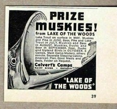 1957 Print Ad Prize Muskies from Lake of the Woods Rainy River Ontario C... - £6.42 GBP