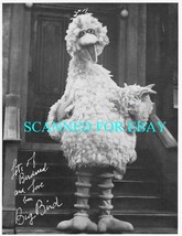 SESAME STREET PHOTO OF BIG BIRD SIGNED FASCIMILE 1981 - £11.80 GBP