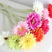 USA-50PCS Fresh Artificial Gerbera Flower seeds Chrysanthemum Daisy Mix Color - £6.41 GBP