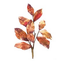 Leaf Spray (Set of 2) 29&quot;H Polyester - £36.02 GBP
