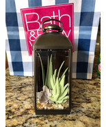 Bath &amp; Body Works SUCCULENT GREEN PLANT LANTERN TERRANIUM Nightlight Wal... - $23.71