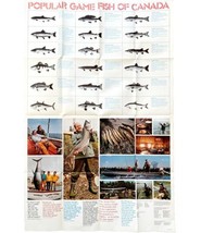 Game Fish Of Canada Poster 1960s-80s Double Sided Fishing Landscape 22x3... - $29.99