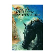 The Black Stallion Adventures Set: The Black Stallion&#39;s Ghost / The Black Stalli - £29.88 GBP