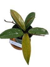 Item image 6