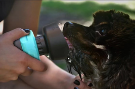 Pet Oasis: Foldable Dog Travel Water Bottle And Dispenser - £27.65 GBP+