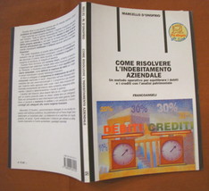  Come risolvere l&#39;indebitamento aziendale Marcello d&#39;Onofrio Franco Angeli  - $18.34