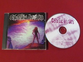 Charlie Drown Silent Rizing 2001 Cd [Explicit] Electronic Rock Industrial Metal - £14.65 GBP