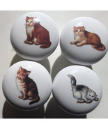 Cabinet Knobs Four Kittens - $29.83 CAD