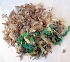 Mixed Bag of Natural &amp; Some Green Feathers for Crafts Various Sizes - $8.79