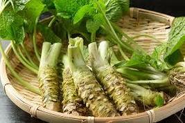 Japanese Horseradish Wasabi vegetables, 100 SEEDS D - £10.77 GBP