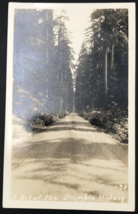 1904-1950 EKKP RPPC A Bit of the Olympic Highway Washington WA Photo Postcard - $13.99