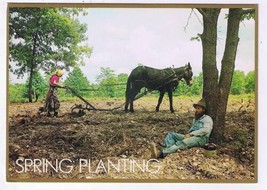 Comic Postcard Hillbilly Spring Planting - £2.32 GBP