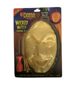 PUMPKIN MASTERS WICKED WITCH Carving Kit Face Insert Carved Pumpkin Hall... - £6.50 GBP