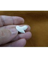s1-4 Small 3/4 inch White TIGER SHARK T**TH T**th jewelry wire pendant C... - $13.99