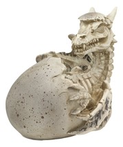 Gothic Skeleton Bone Wyrmling Dragon Hatchling Emerging from Egg Statue 5.25&quot;H - £15.22 GBP