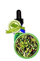 Olive Squalane Oil - 1oz (30ml) - 100% Pure and Natural - $14.69