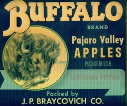 BUFFALO BRAND: Pajaro Valley Apple Crate Label Sign - FRAMED WITH GLASS - £14.30 GBP