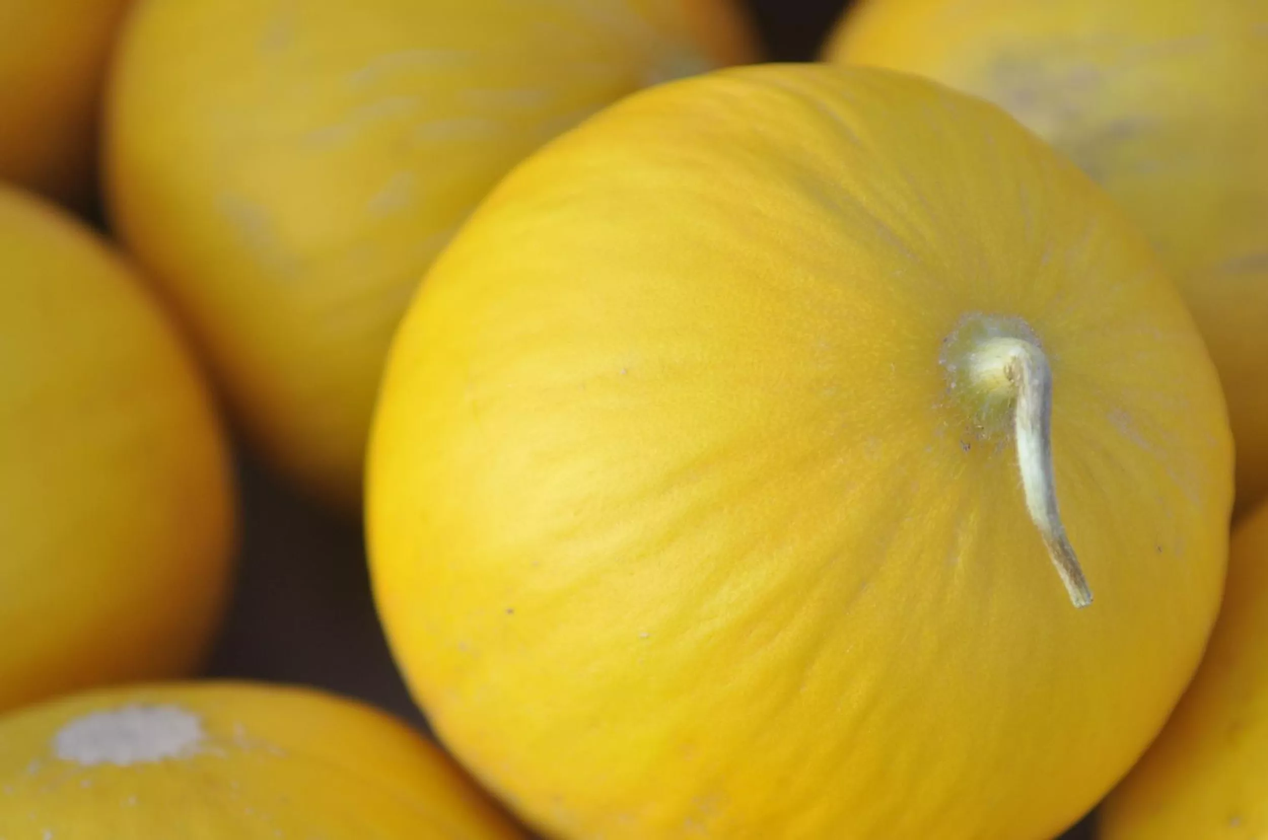Variety Seeds Canary Melon Cucumis melon Non-GMO - $6.38+