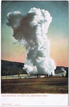 Postcard Old Faithful Geyser Yellowstone Park Wyoming - £3.94 GBP