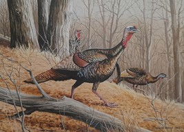 Wooded Seclusion - Turkeys by Maynard Reece - Wild Turkey Stamp Print, artist si - £67.78 GBP