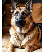 8.5 x 11 in VINYL HDR POSTER ART PRINT SMART CANIN GERMAN SHEPHERD DOG O... - $485.57 MXN