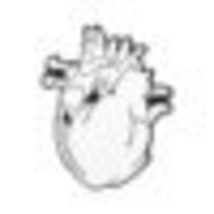 19style Anatomical Heart Enamel Pins Medical Anatomy Brooch Heart Neurology Pins - £6.75 GBP