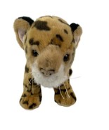Bass Pro Shops African Collection Plush Leopard Realistic Stuffed Animal... - £19.43 GBP