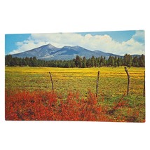 Postcard San Francisco Peaks Flagstaff Arizona Chrome Unposted - £5.51 GBP