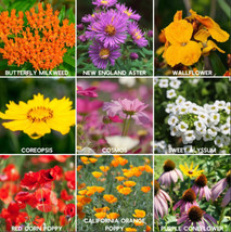 Fresh 400 Wildflower Mix Annual Perennial Bee Mix Collection Attract Bee... - $9.00