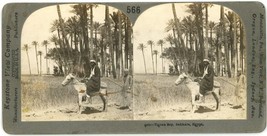c1900&#39;s Real Photo Keystone Stereoview  Tigran Bey Sakkara Egypt Nobleman Donkey - £7.46 GBP