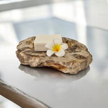 Soap Dish Natural Stone Petrified Wood Seashell Bathroom - £29.86 GBP