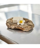 Soap Dish Natural Stone Petrified Wood Seashell Bathroom - £29.72 GBP