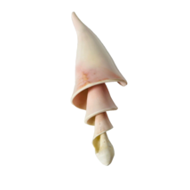 Vintage Conch Shell Center Polished Estate Piece In Blush Pink Tones - $18.80